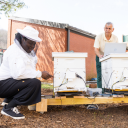 App State senior Temitayo Olofintuyi, left, a Beemon research team member and computer science major from Greensboro, and Dr. Rahman Tashakkori, the Lowe’s Distinguished Professor of Computer Science in App State’s Department of Computer Science, inspect two Beemon Hive Monitoring Systems on App State’s Boone campus. Tashakkori and his research team received a grant for over $640,000 from NCInnovation to commercialize four parts of the Beemon Hive Monitoring System. Photo by Chase Reynolds